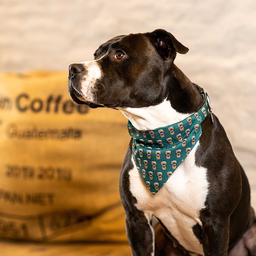 MAX & MOLLY - BANDANA "COFFEE BREAK"
