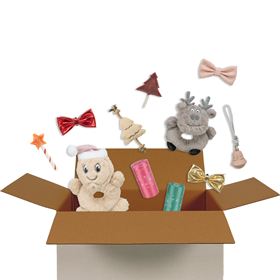 SURPRISE BOX "XMAS" (Porte Grande)