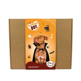SURPRISE BOX "HALLOWEEN" (Porte Grande)