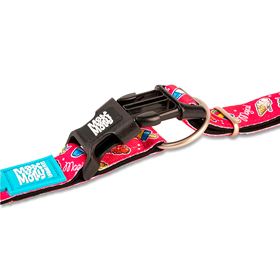 MAX & MOLLY - COLEIRA COM ID TAG "ORIGINAL MAGICAL"