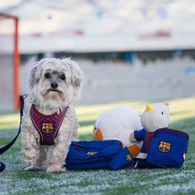 MAX & MOLLY - BOLSA PARA SNACKS "FC BARCELONA"