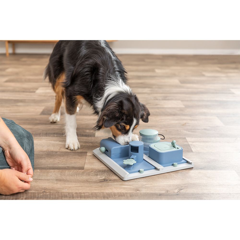 JOGO "POKER BOX 2" PARA CÃES