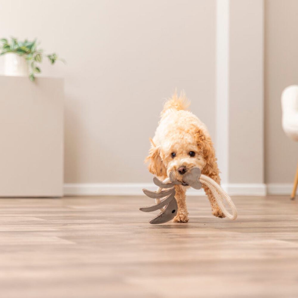 ESPINHA DE PEIXE EM PELE GENUÍNA E CORDA
