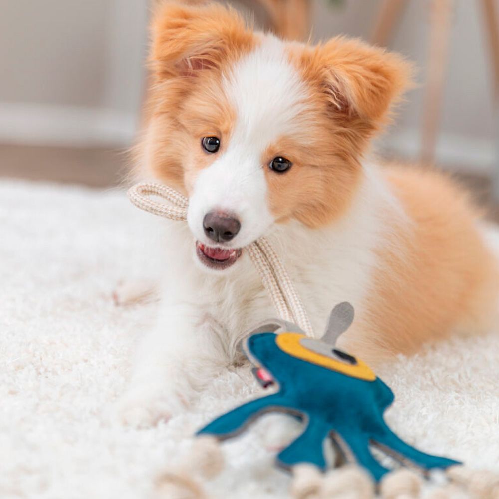 MONSTRO EM PELE GENUÍNA E CORDA