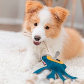 MONSTRO EM PELE GENUÍNA E CORDA