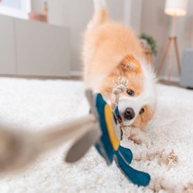 MONSTRO EM PELE GENUÍNA E CORDA