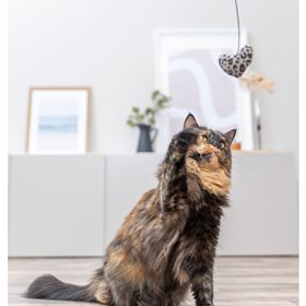 BASTÃO EM MADEIRA COM CORAÇÃO EM PELÚCIA E CATNIP