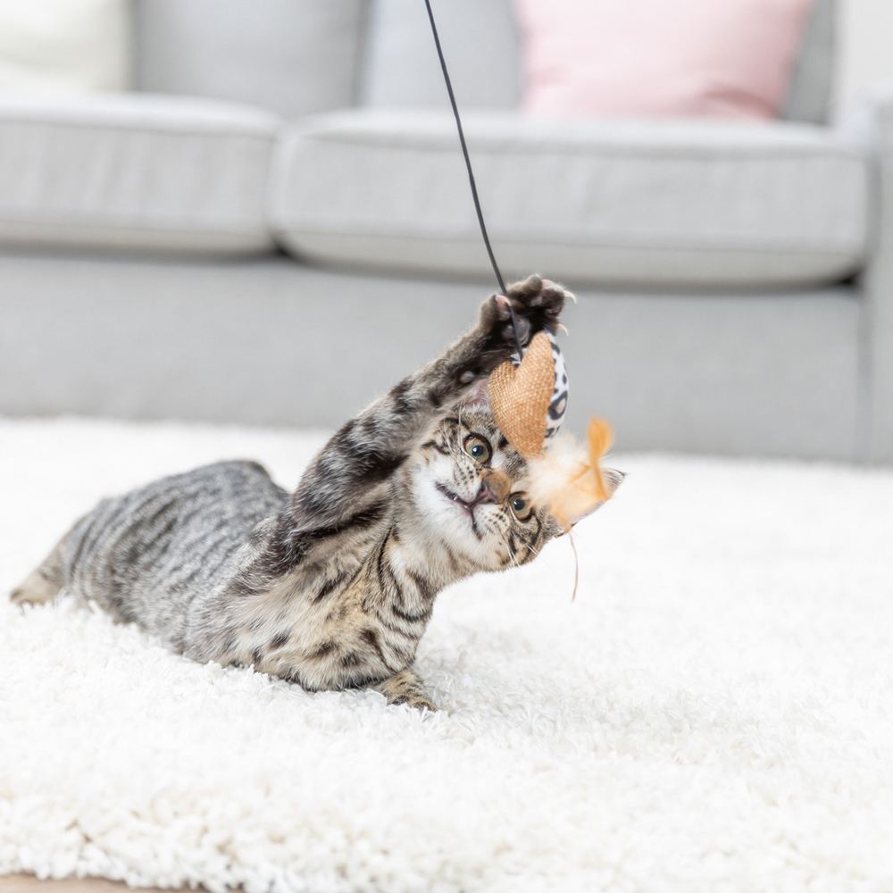 BASTÃO EM MADEIRA COM CORAÇÃO EM PELÚCIA E CATNIP