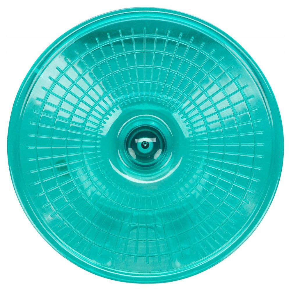 DISCO PARA EXERCÍCIO