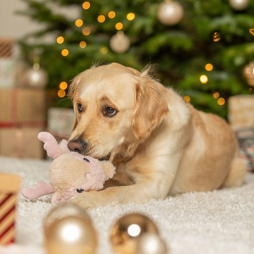 RENA EM PELÚCIA COM SOM