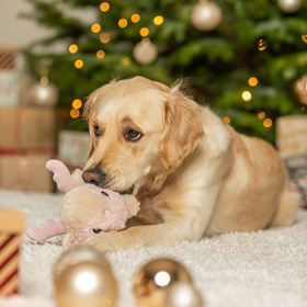 RENA EM PELÚCIA COM SOM