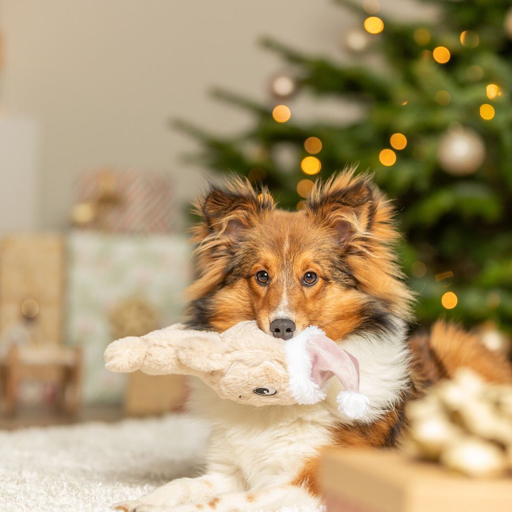 BONECO "COOKIE" EM PELÚCIA COM SOM