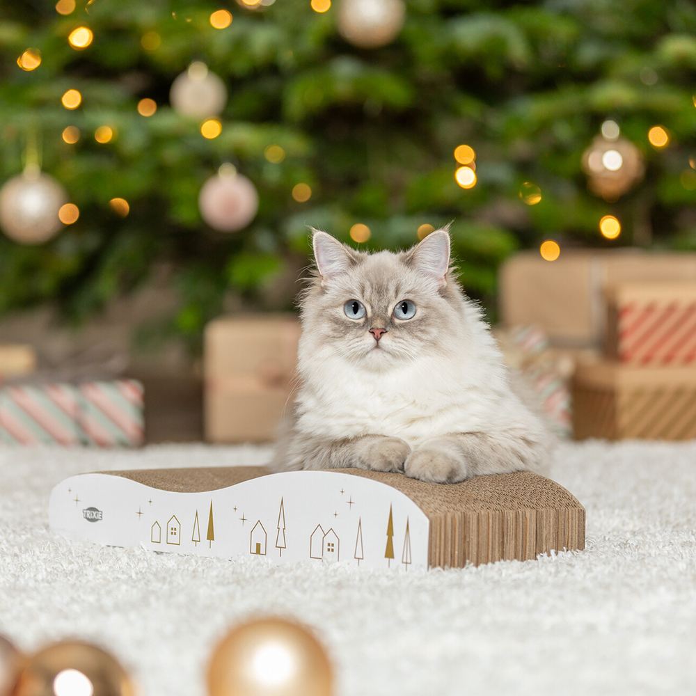 ARRANHADOR EM CARTÃO "XMAS"