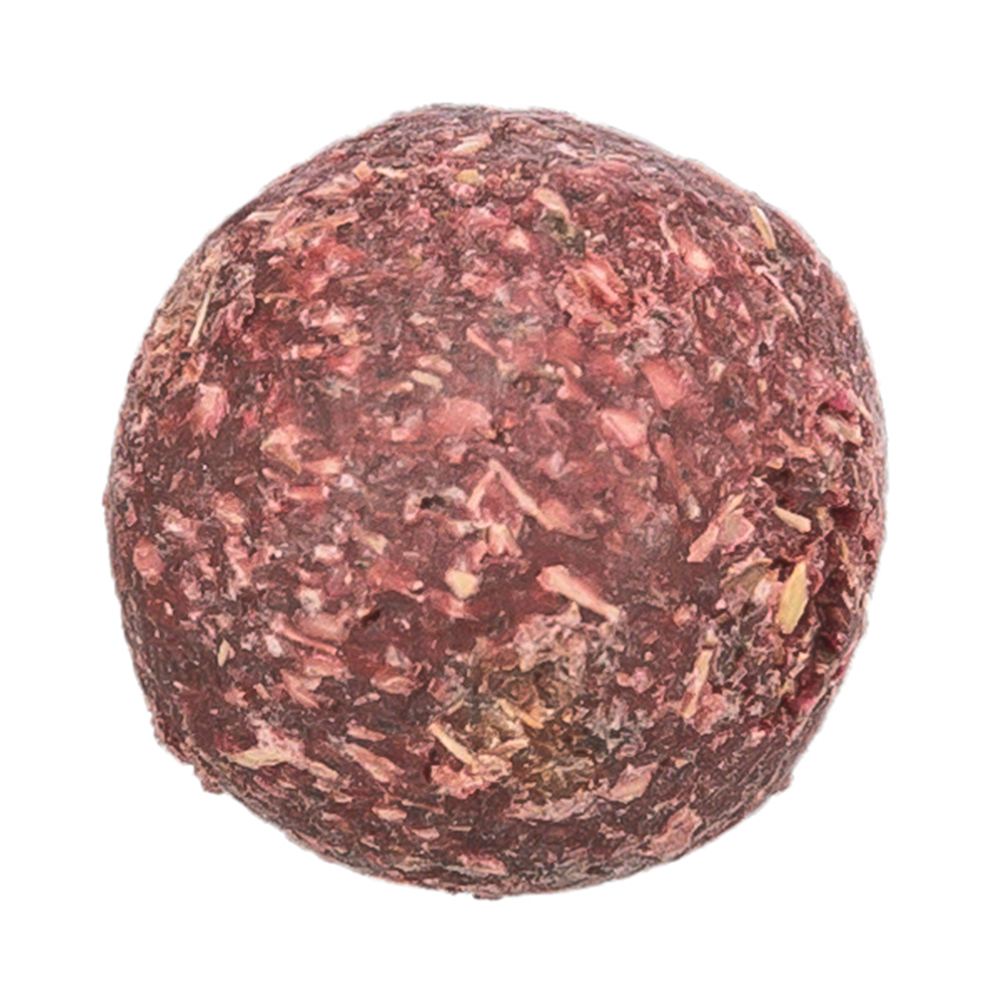 CALENDÁRIO COM SURPRESAS DE NATAL PARA ROEDORES