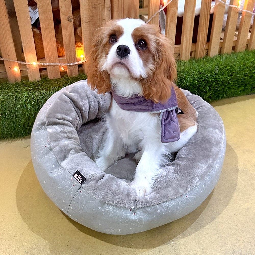 CACHECOL EM VELUDO / PELÚCIA